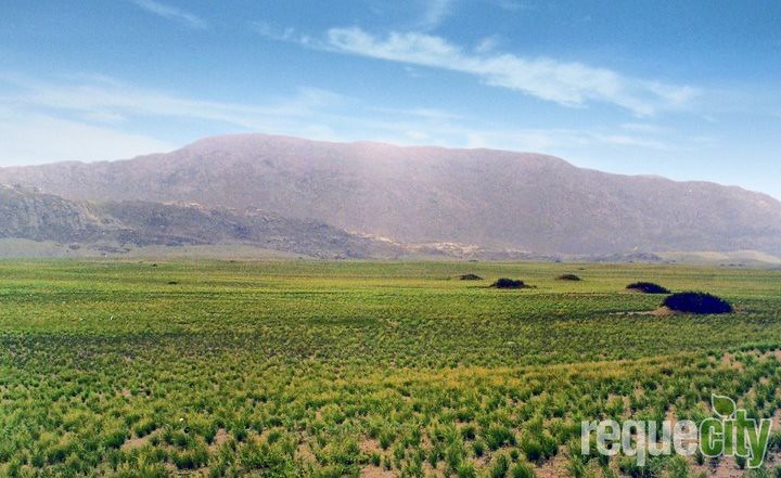 Complejo Arqueológico Cerro de Reque